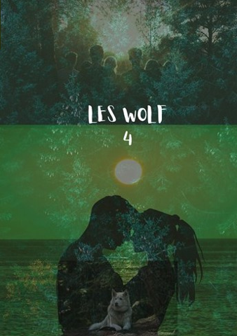 Couverture du tome n°4 du livre 'Les Wolf'
